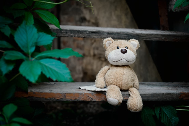 teddy bear rotated to the right
